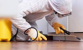 Best Pest Control for Multi-Family Homes  in Presquille, LA